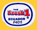 TheFresh1-4011-E-0178