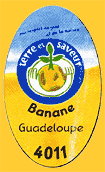 terre-et-saveur-G4011-1903