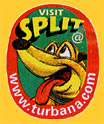 turbana-SPLIT-0288